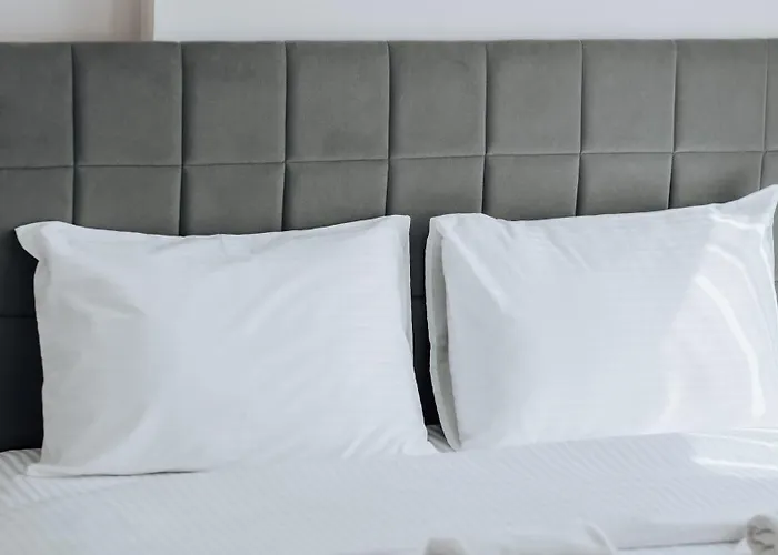 Mof Comfort * Edirne